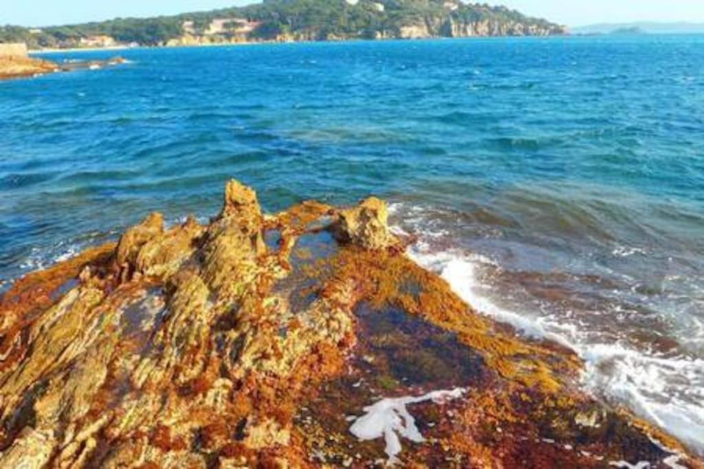 T2: 45M2 :4 Places :Independant Dans Villa Hyères Dış mekan fotoğraf