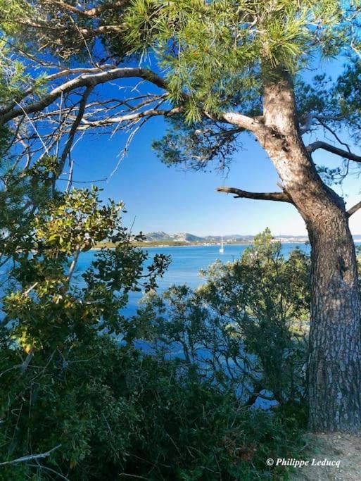 T2: 45M2 :4 Places :Independant Dans Villa Hyères Dış mekan fotoğraf