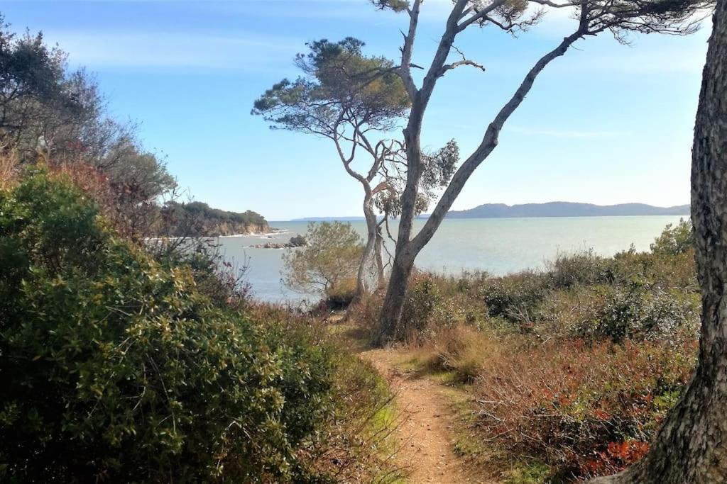 T2: 45M2 :4 Places :Independant Dans Villa Hyères Dış mekan fotoğraf