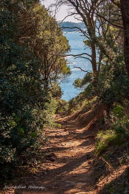T2: 45M2 :4 Places :Independant Dans Villa Hyères Dış mekan fotoğraf