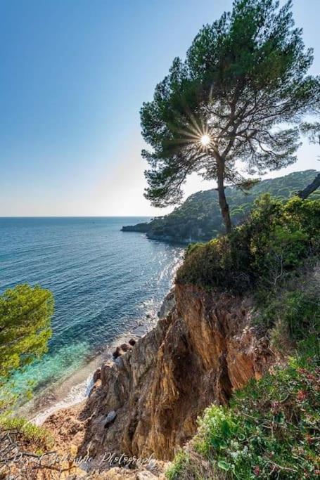 T2: 45M2 :4 Places :Independant Dans Villa Hyères Dış mekan fotoğraf