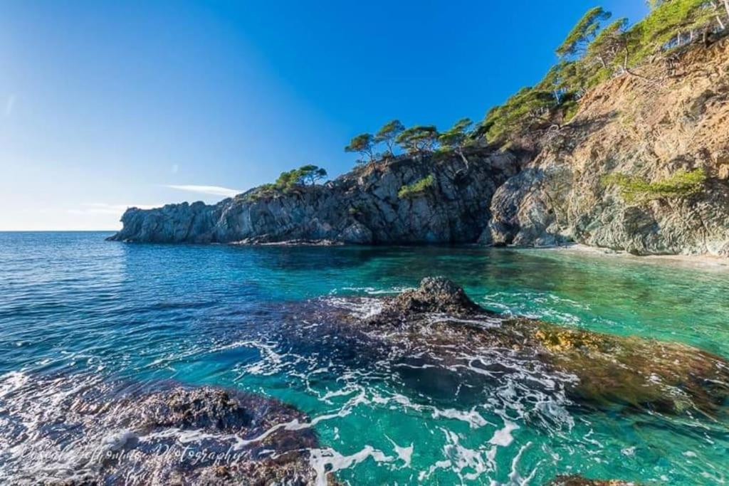 T2: 45M2 :4 Places :Independant Dans Villa Hyères Dış mekan fotoğraf